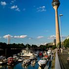 Sommer in Düsseldorf 3