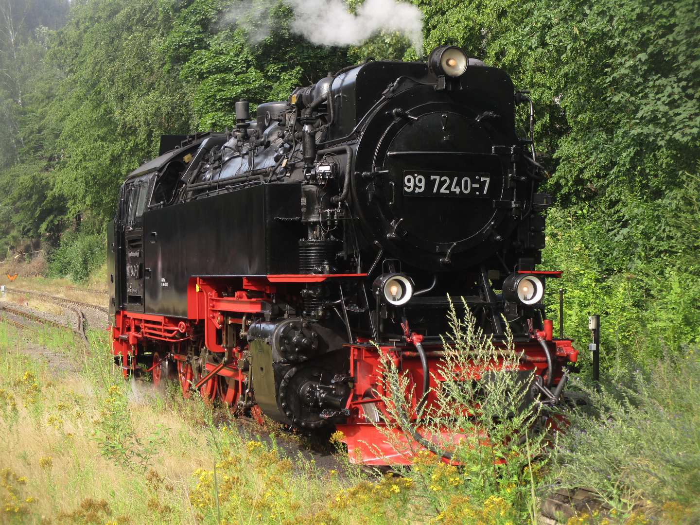 Sommer in Eisfelder Talmühle.