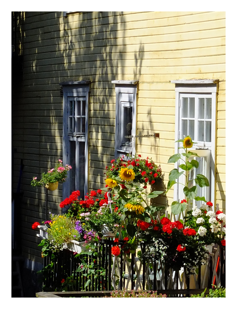 Sommer in Eksjö (1)