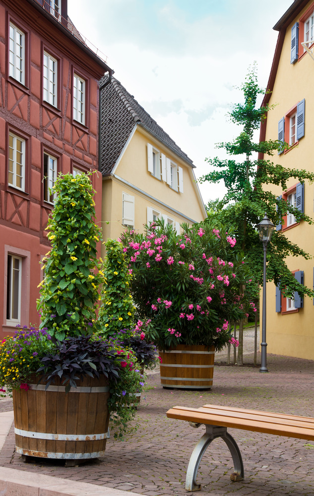 Sommer in Ettenheim "Entente Florale"