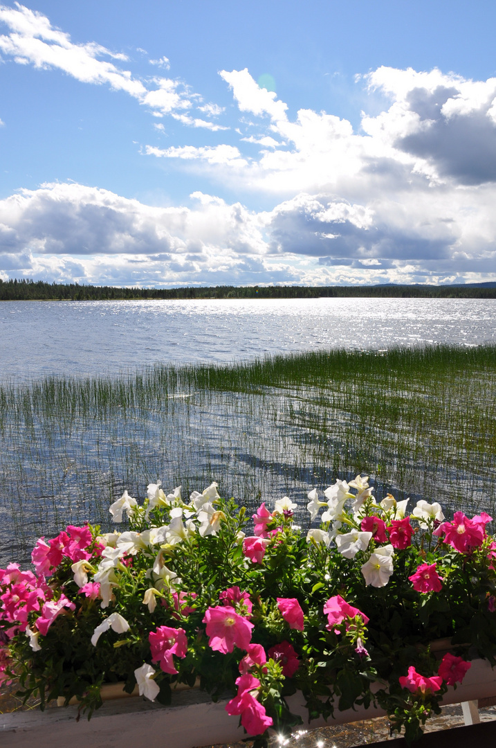 Sommer in Finnland