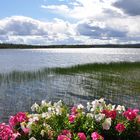 Sommer in Finnland