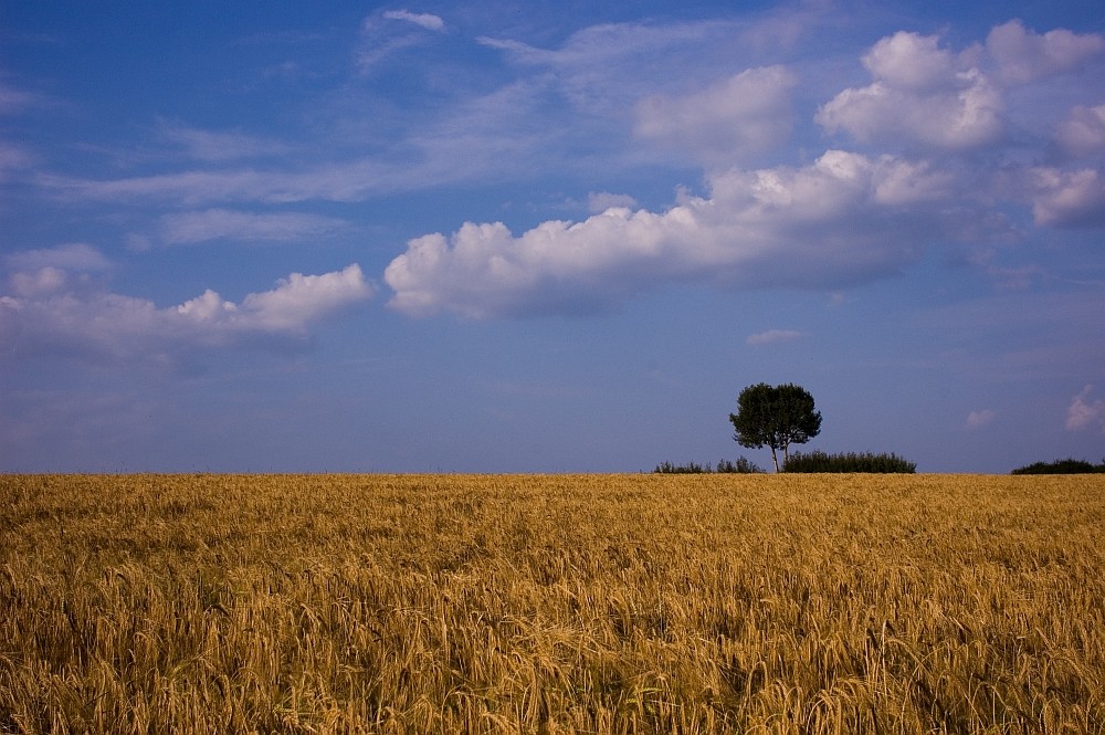 Sommer in Franken