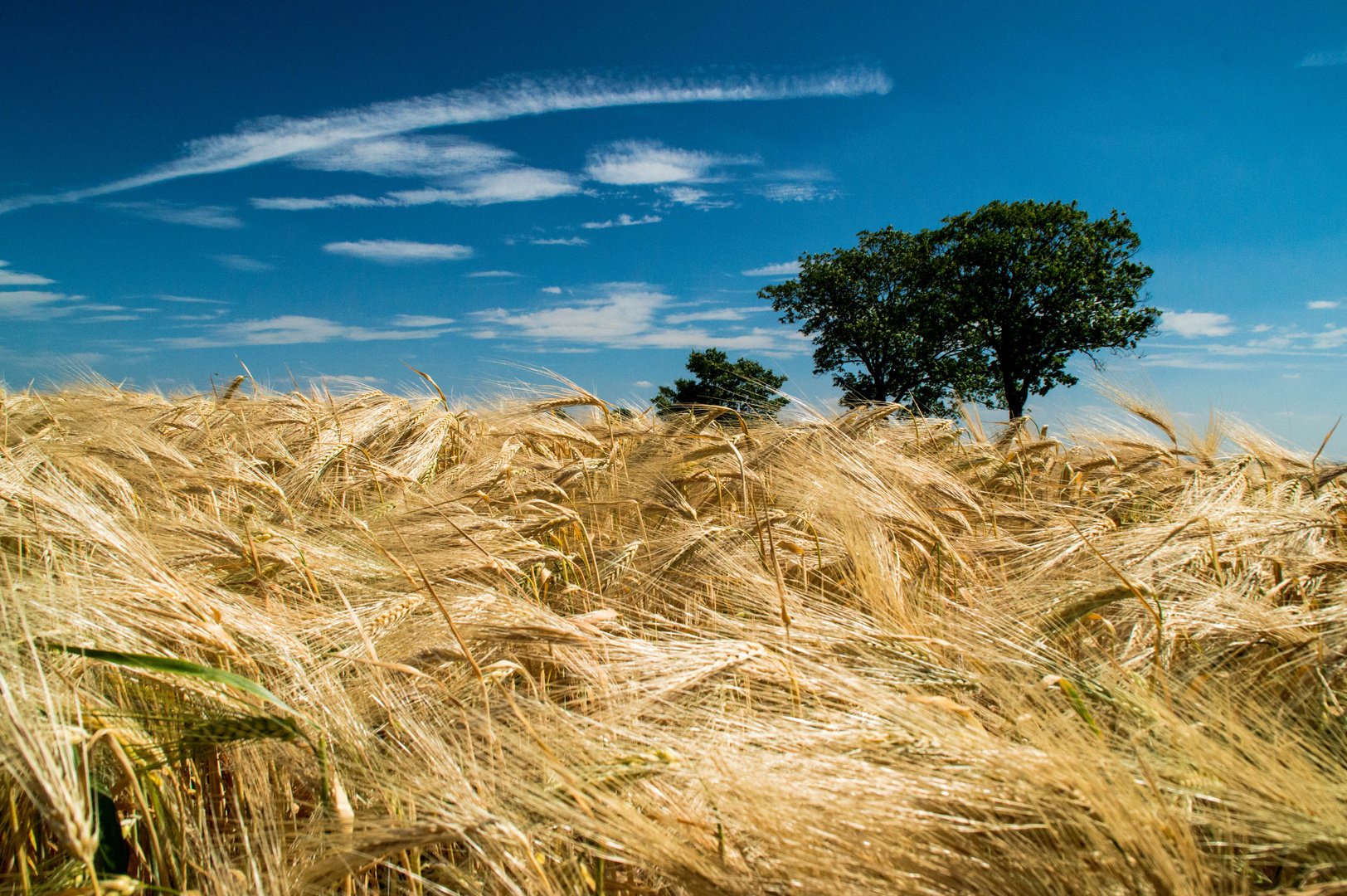 Sommer in Franken