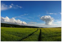 Sommer in Franken