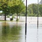 Sommer in Frankfurt am Main