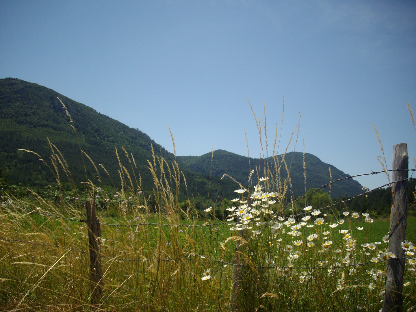 Sommer in Frankreich