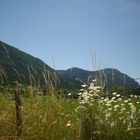 Sommer in Frankreich