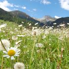 Sommer in Graubünden