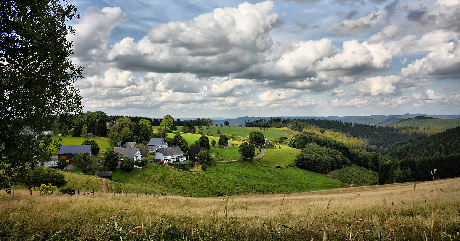 Sommer in Großenbach...NRW...