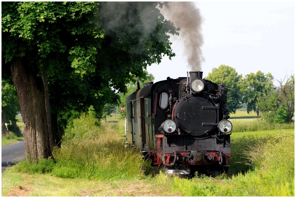 Sommer in Großpolen (10/10) - doch doch, da liegen schon noch irgendwo Schienen ...