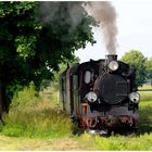 Sommer in Großpolen (10/10) - doch doch, da liegen schon noch irgendwo Schienen ...