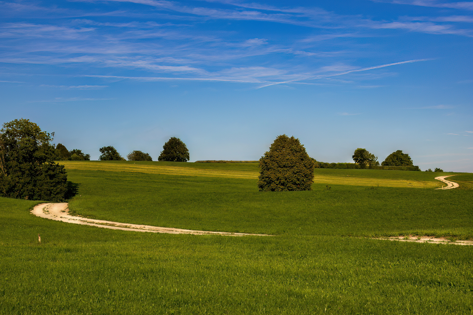 Sommer in Grün