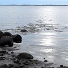 Sommer in Habernis/Flensburger Förde