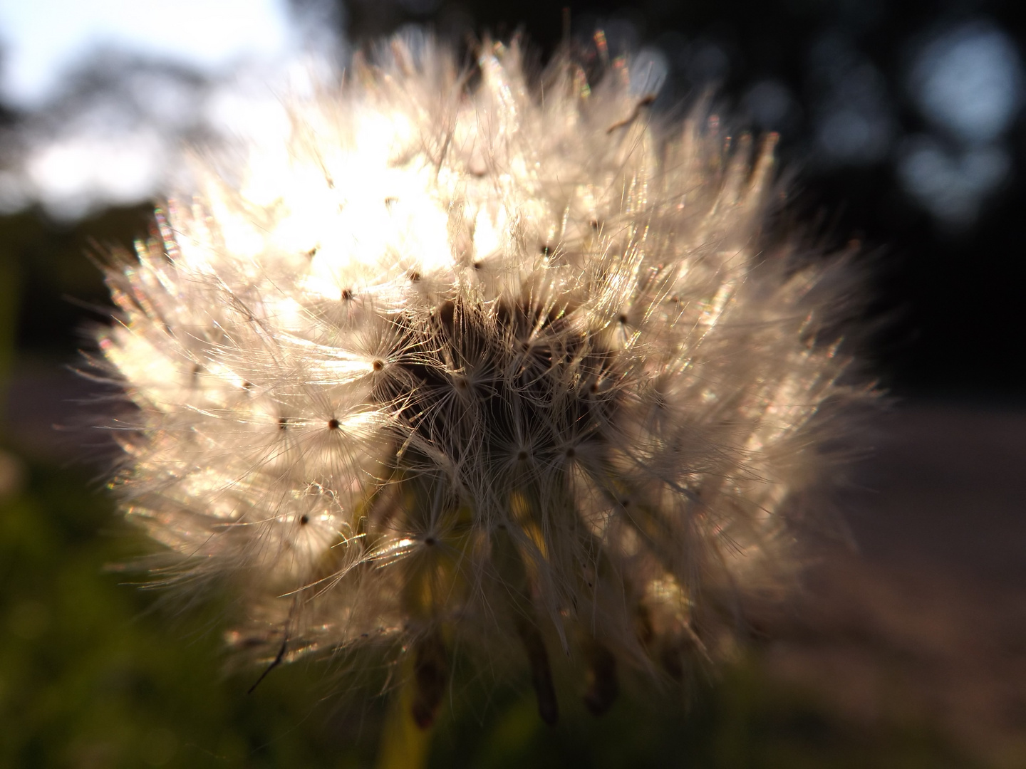 Sommer in Hamburg 5