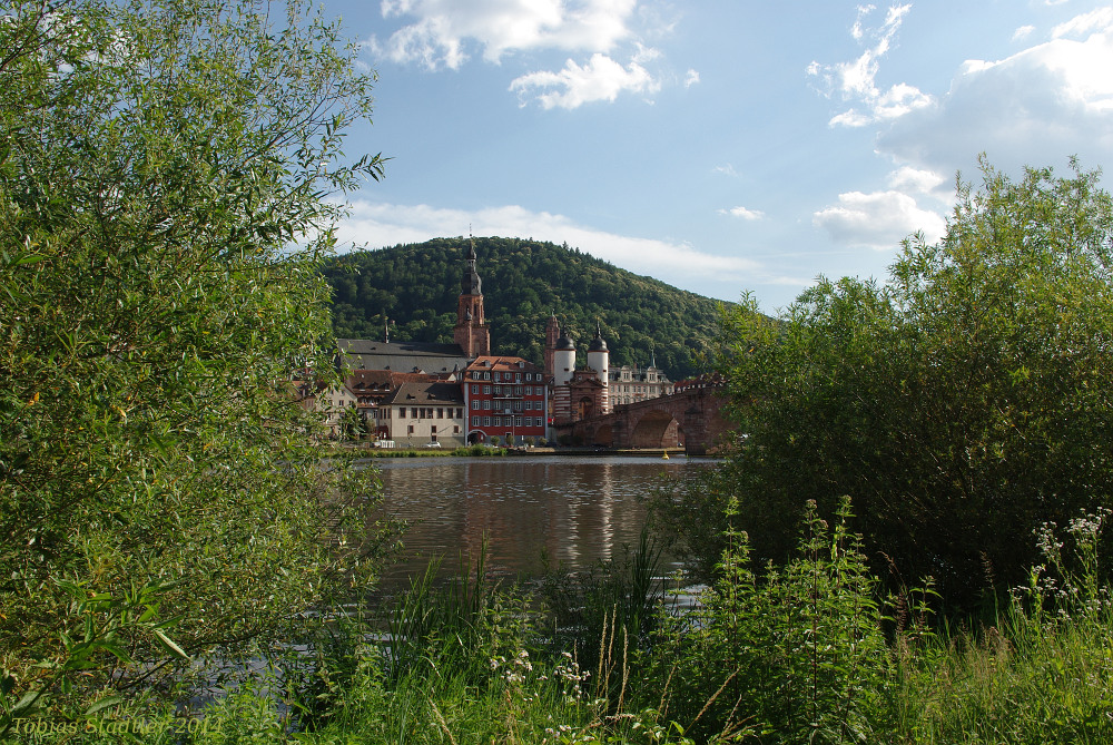 Sommer in Heidelberg