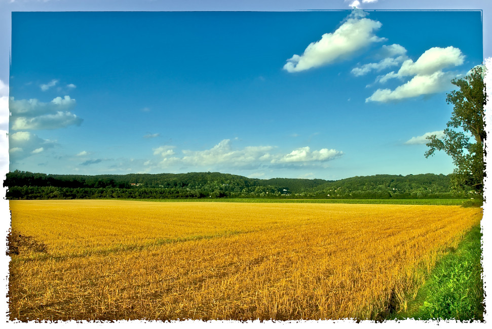 Sommer in Hennef