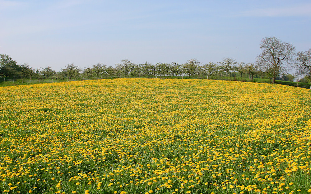 Sommer in Hessen