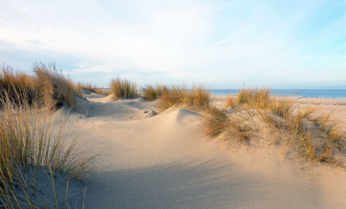 Sommer in Holland