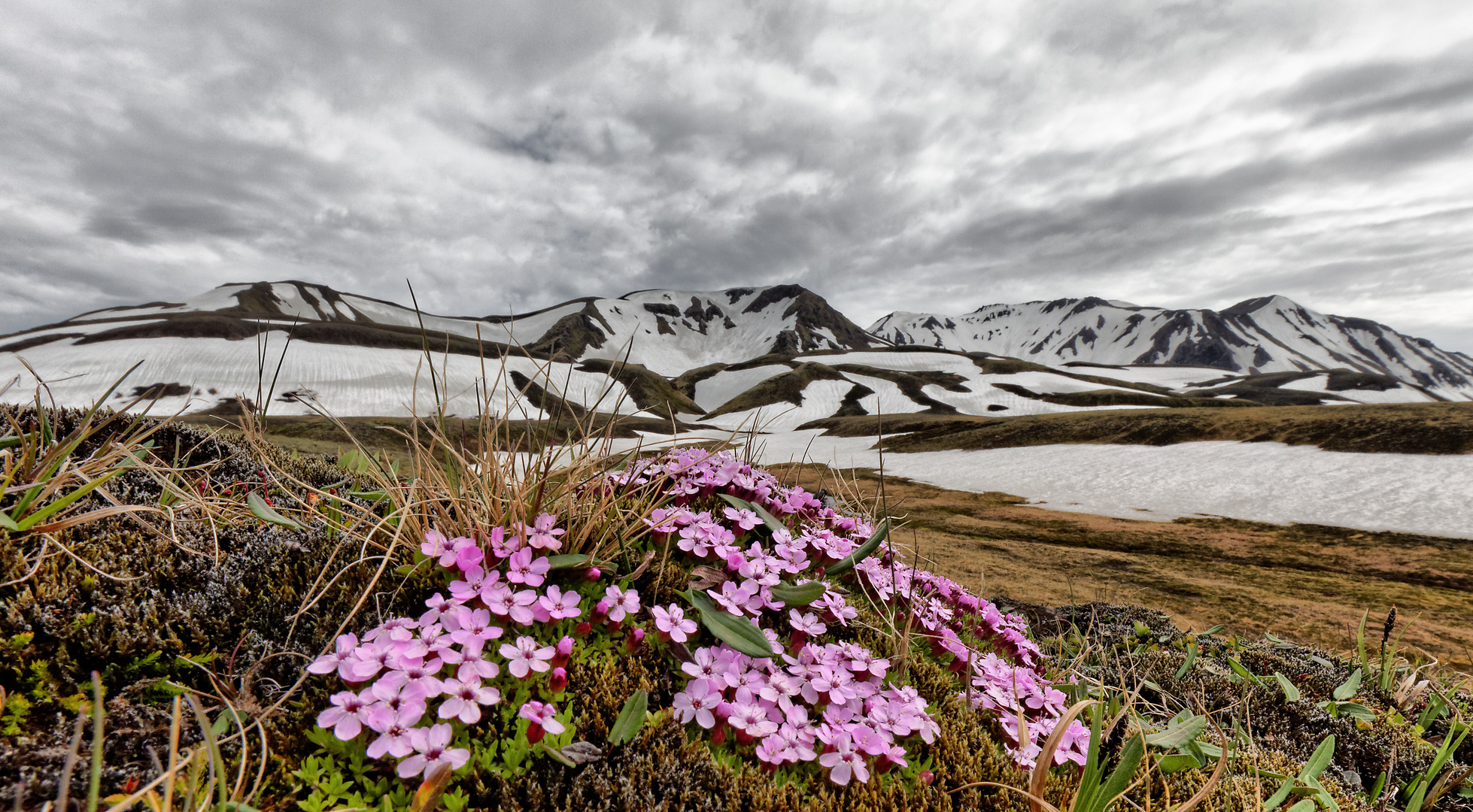 Sommer in Island