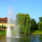 Sommer in Jülich, hier Schwanenteich