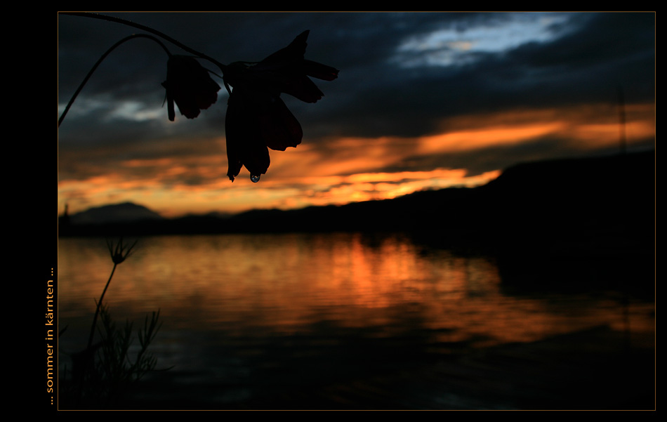 ... sommer in kärnten ...