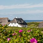 Sommer in Kampen