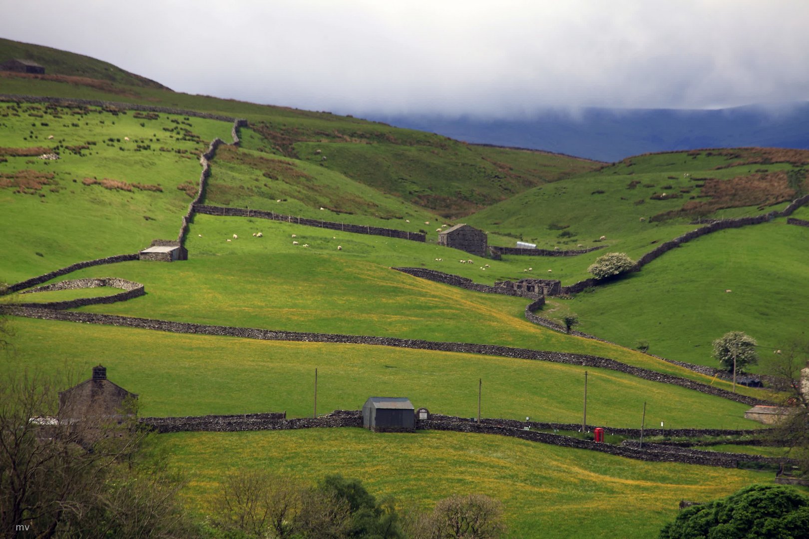 Sommer in Keld