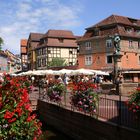 Sommer in Klein Venedig in Colmar