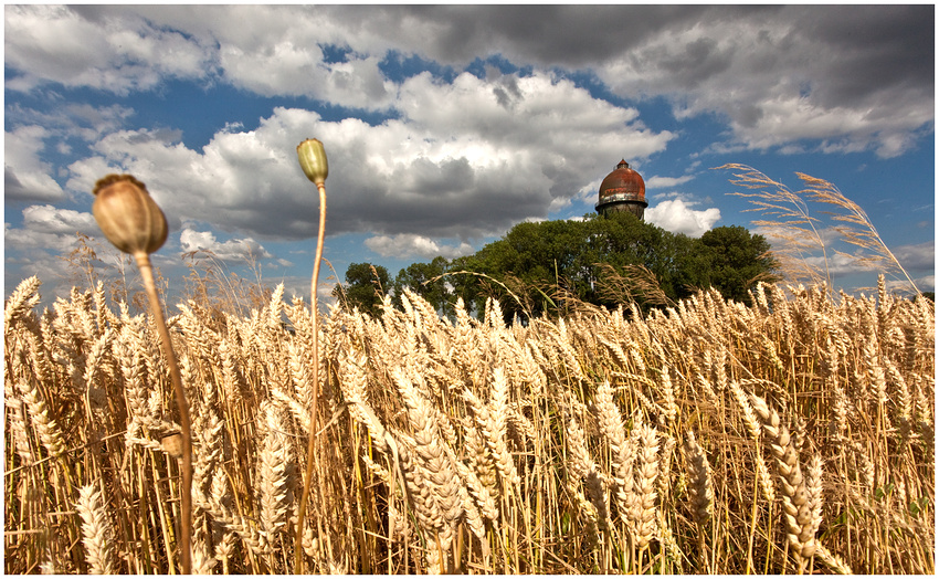 Sommer in Lanstrop