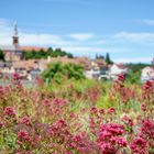 Sommer in Laufenburg 2