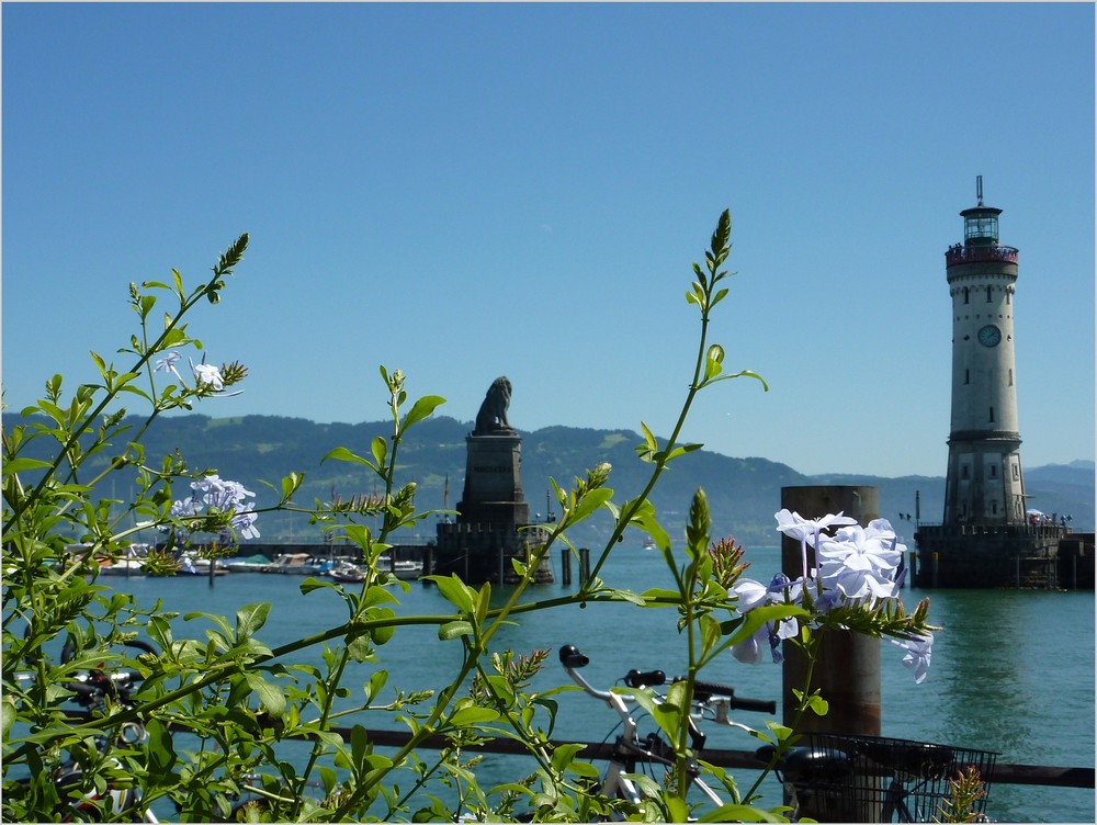 Sommer in Lindau 1