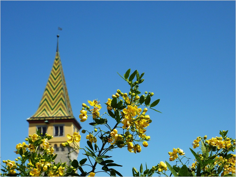 Sommer in Lindau 2