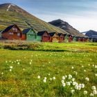 Sommer in Longyearbyen - Spitsbergen