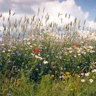 Sommer in Masuren