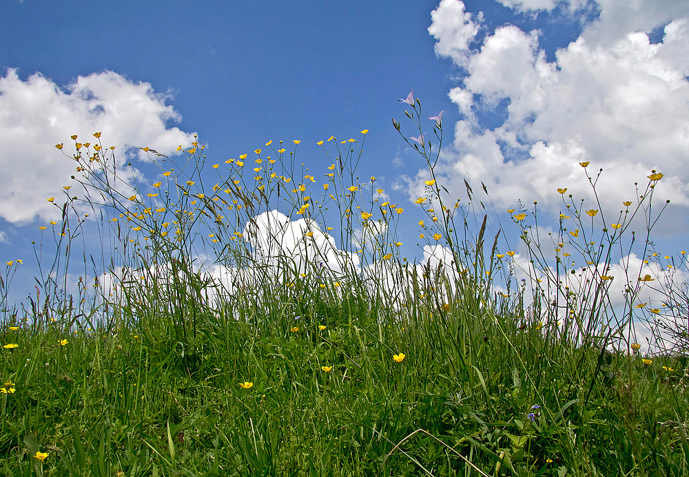 Sommer in Masuren