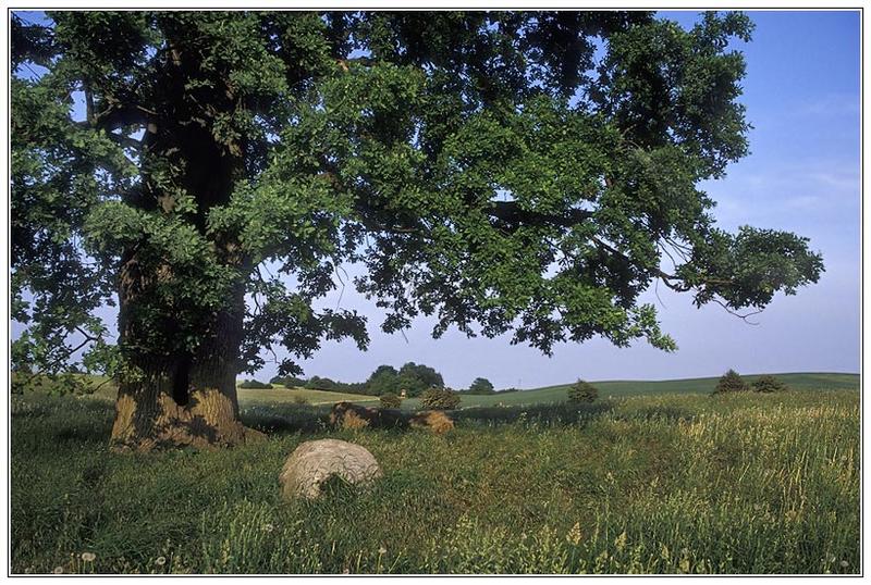 Sommer in Mecklenburg