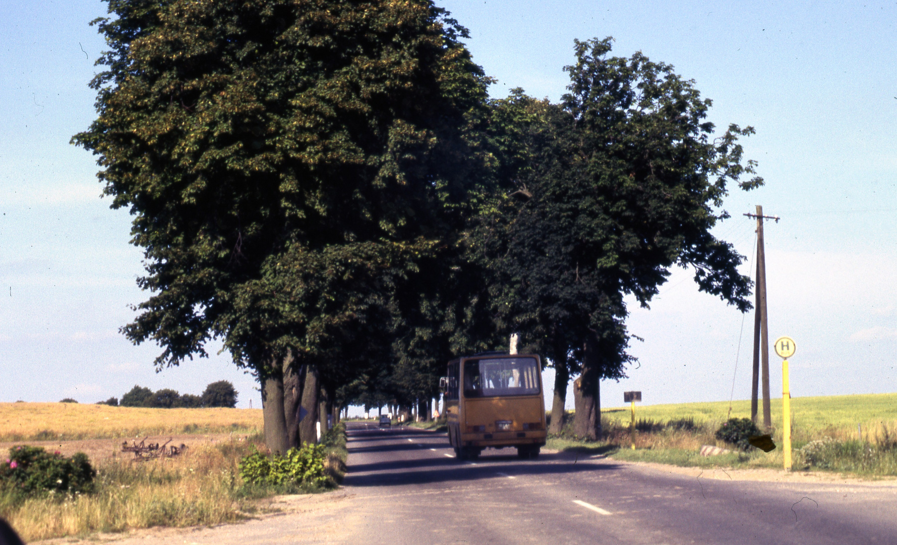 Sommer in Mecklenburg