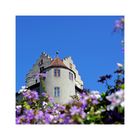 Sommer in Meersburg