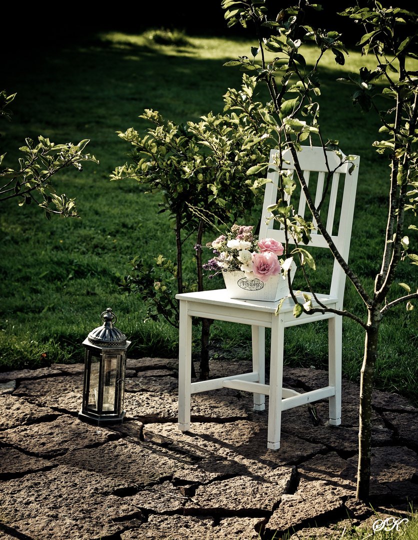 Sommer in meinem Garten