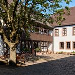 Sommer in meiner Stadt. Innenhof  vom  Theodor-Zink-Museum Kaiserslautern.