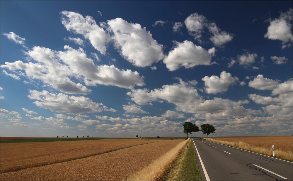 Sommer in Mittelsachsen