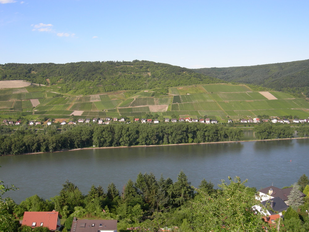 Sommer in Niederheimbach - Lorch . 1/2