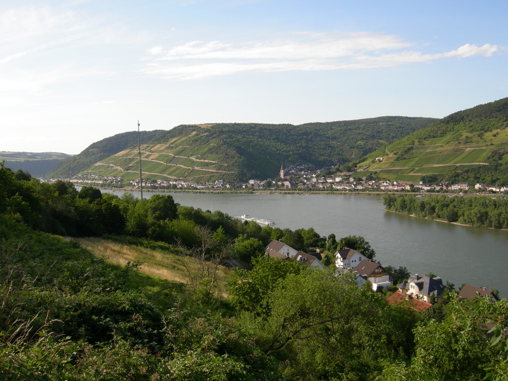 Sommer in Niederheimbach - Lorch .