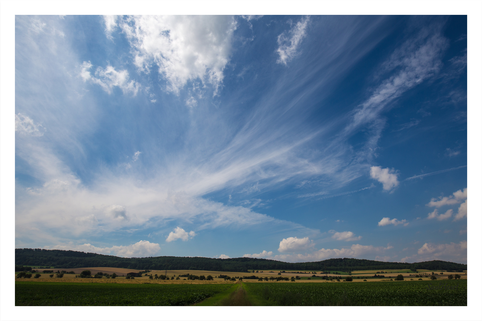 ....Sommer in Niedersachsen ....