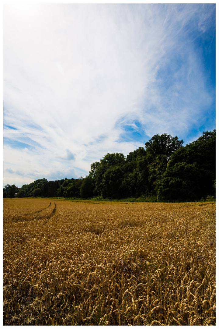 Sommer in Niedersachsen