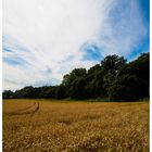 Sommer in Niedersachsen