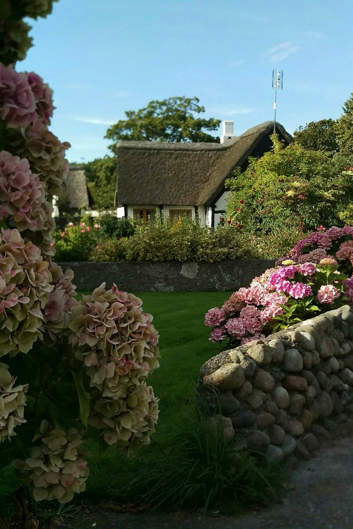 Sommer in Nordby, Samsö