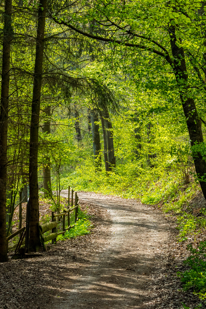 Sommer in Nordhessen