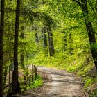 Sommer in Nordhessen